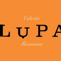 logo_lupa_204