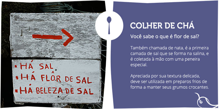 colher-de-cha-flor-de-sal-post