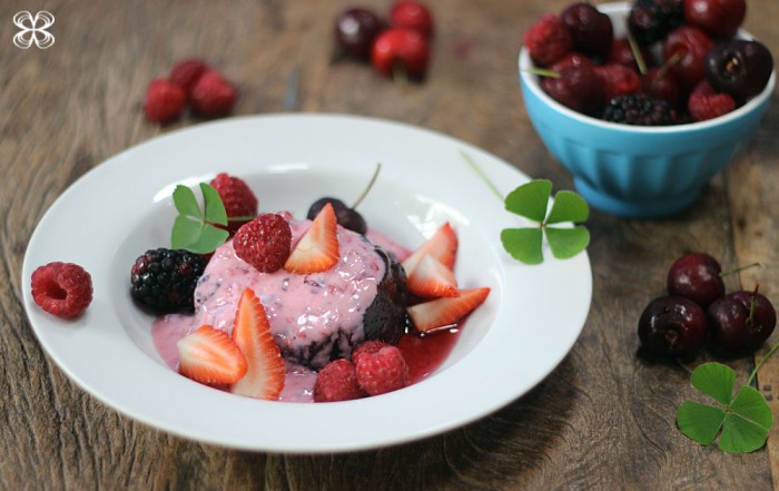 gelatina-natural-de-mirtilos-com-iogurte-e-frutas-vermelhas-(leticia-massula-para-cozinha-da-matilde)