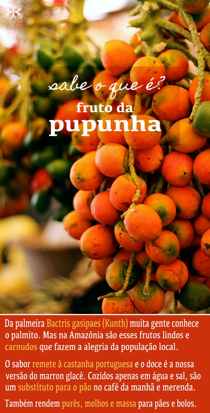 sabe-o-que-e-pupunha-corrigido-(leticia-massula-para-cozinha-da-matilde)