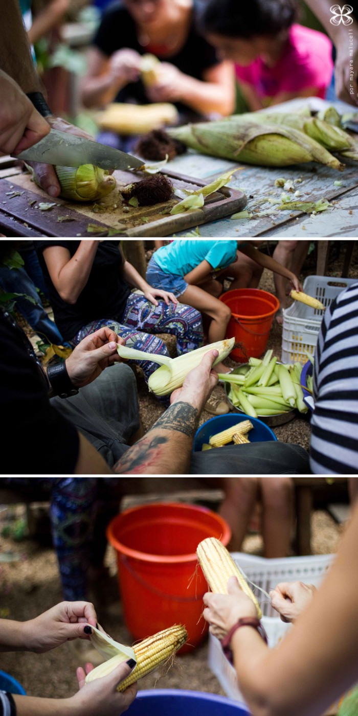 pamonhada-descascar-as-espigas-de-milho-(Mayara-Maluceli-para-cozinha-da-matilde)