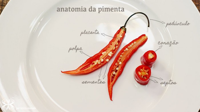 capsicum-anatomia-da-pimenta-(leticia-massula-para-cozinha-da-matilde)