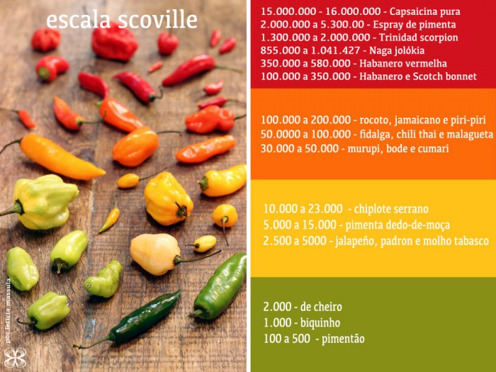 scala-scoville-capsicum-(leticia-massula-para-cozinha-da-matilde)