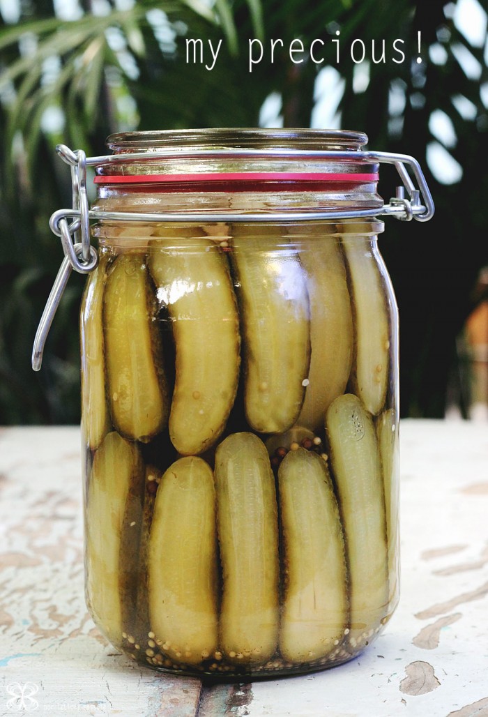 pickles-de-pepino-feito-em-casa-DIY-cucumber-pickles-(leticia-massula-para-cozinha-da-matilde)
